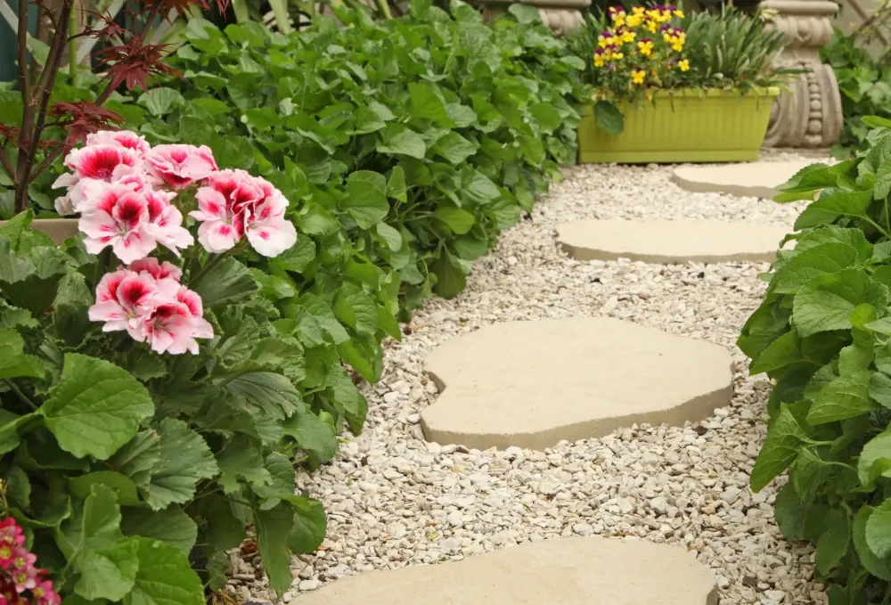 amenagement jardin